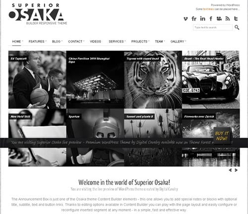Impressive WordPress Themes