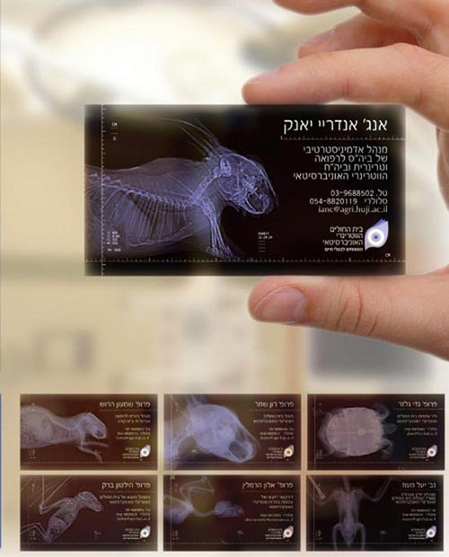 Business Cards Design