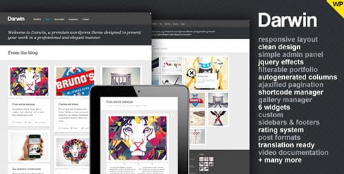 WordPress Portfolio Themes