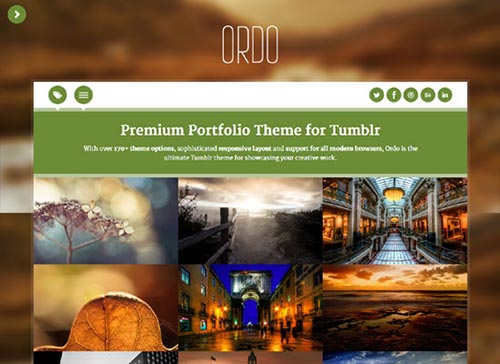 Premium Tumblr Themes Premium Tumblr Themes