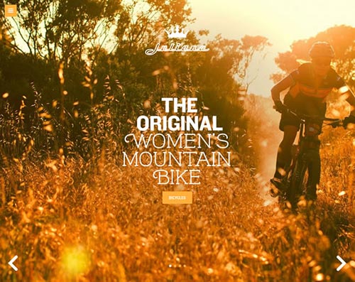 Single Page Web Designs Inspiration