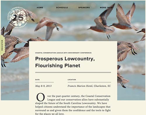 Web Design Inspiration