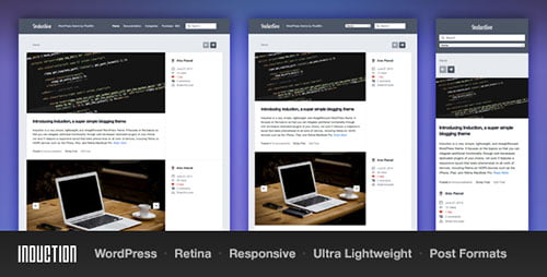 Induction Responsive WordPress Tumblog Theme - Personal Blog / Magazine