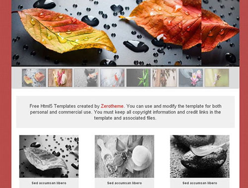 HTML5 CSS3 Website Templates HTML5 CSS3 Website Templates