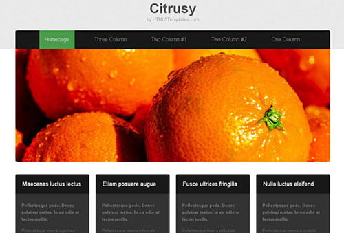 HTML5 CSS3 Website Templates HTML5 CSS3 Website Templates