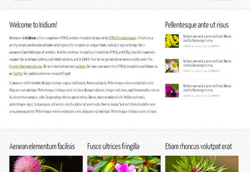 HTML5 CSS3 Website Templates HTML5 CSS3 Website Templates