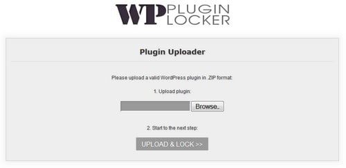 Email Newsletter Plugins for WordPress