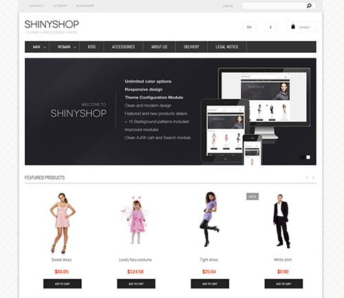Responsive Prestashop Themes