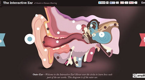 Single Page Website Designs Single Page Website Designs
