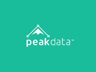 Flat Logo Designs