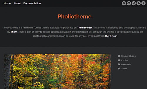 Free and Premium Tumblr Themes