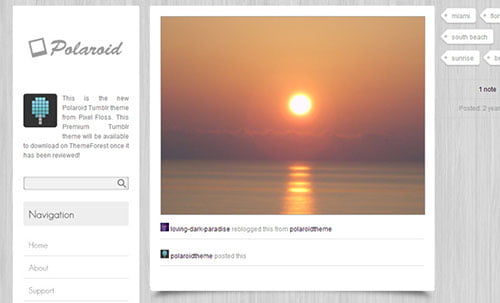 Free and Premium Tumblr Themes
