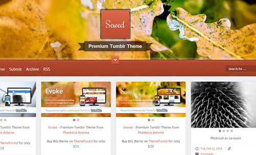 Free and Premium Tumblr Themes
