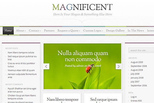 Magazine WordPress Themes WordPress Magazine Themes
