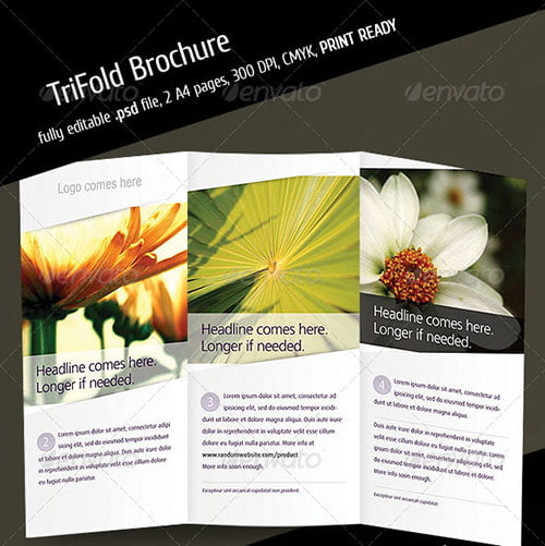 Brochure Design Templates