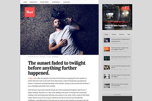 Flat WordPress Themes