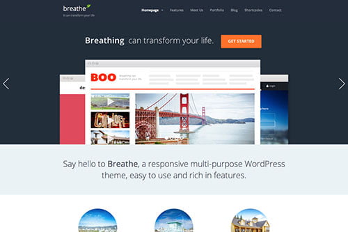 Flat WordPress Themes