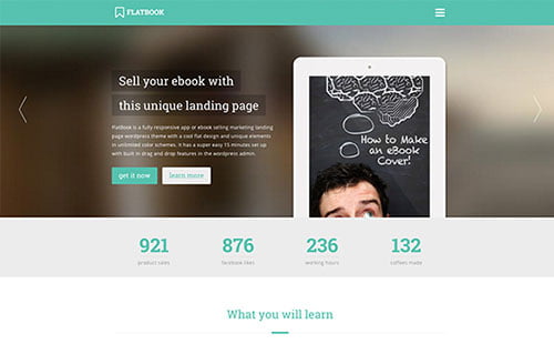 Versatile Landing Page Themes