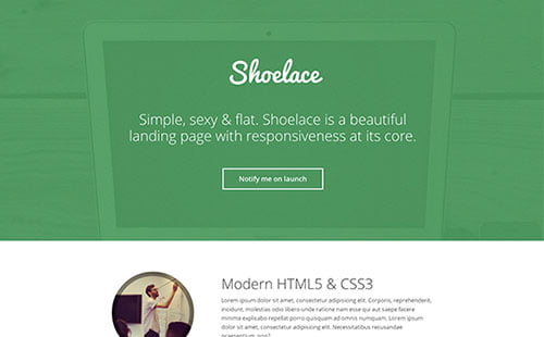 Versatile Landing Page Themes