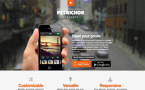 Versatile Landing Page Themes