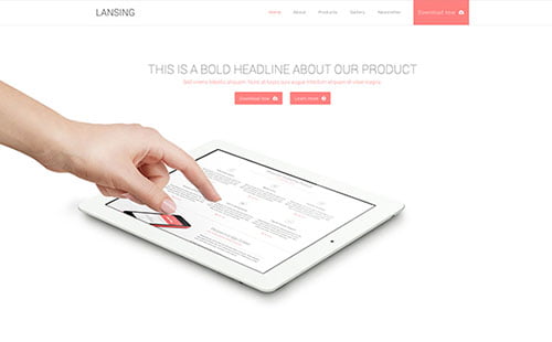 Versatile Landing Page Themes
