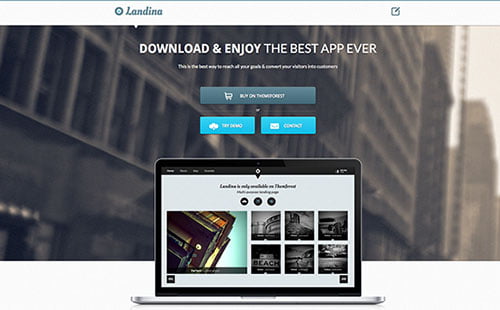Versatile Landing Page Themes