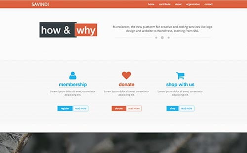 Political and Government Website Themes