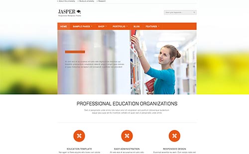 School Education Themes