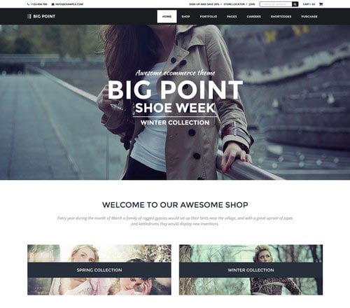 Premium WordPress Themes for Shop and Store 2014