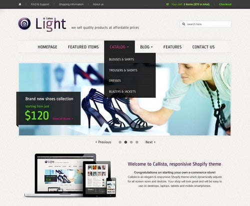 Premium WordPress Themes for Shop and Store 2014
