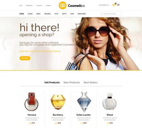 Premium WordPress Themes for Shop and Store 2014