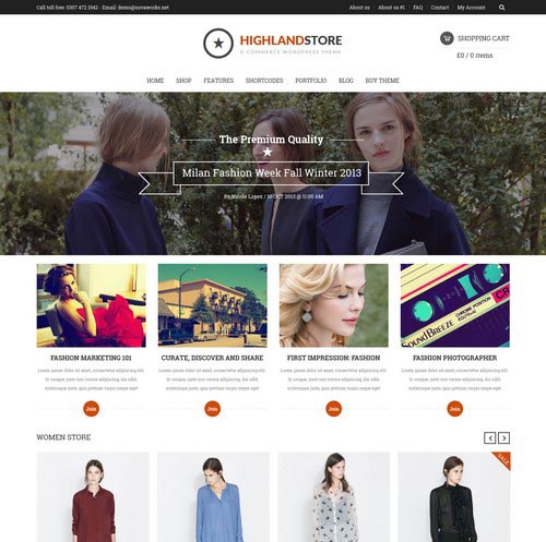 Premium WordPress Themes for Shop and Store 2014