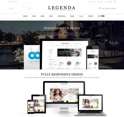 Premium WordPress Themes for Shop and Store 2014