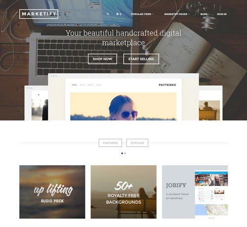 Premium WordPress Themes for Shop and Store 2014