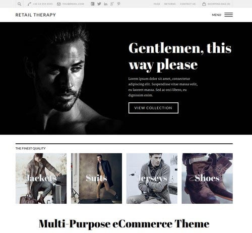 Premium WordPress Themes for Shop and Store 2014