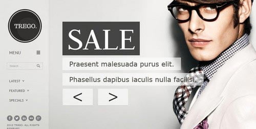 Premium WordPress Themes for Shop and Store 2014