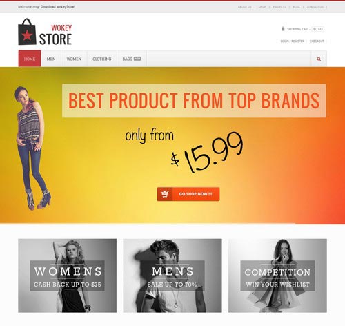 Premium WordPress Themes for Shop and Store 2014
