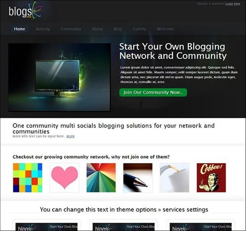 BuddyPress Themes