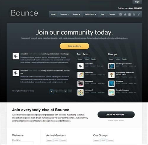 BuddyPress Themes