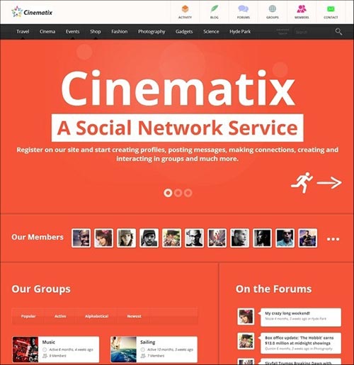 BuddyPress Themes