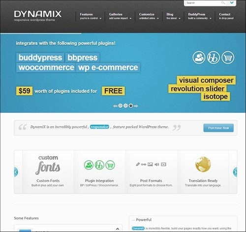 BuddyPress Themes BuddyPress Themes