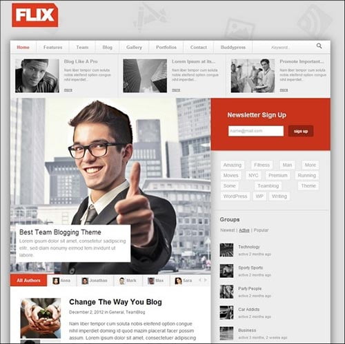 BuddyPress Themes