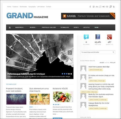 BuddyPress Themes BuddyPress Themes