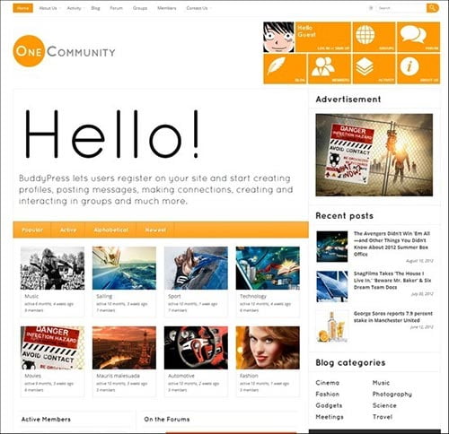 BuddyPress Themes