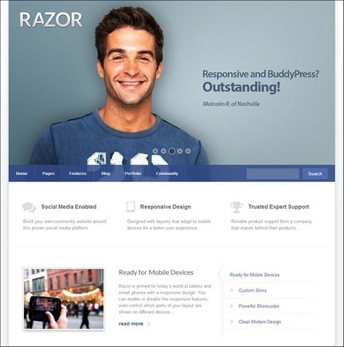BuddyPress Themes