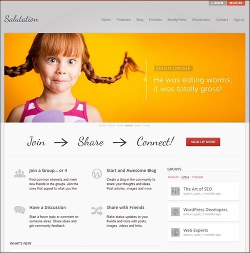 BuddyPress Themes BuddyPress Themes