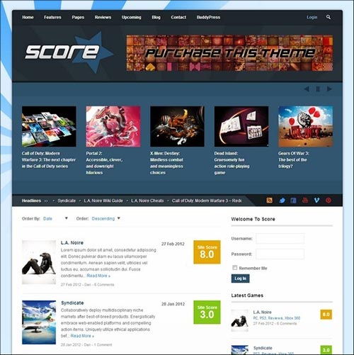 BuddyPress Themes