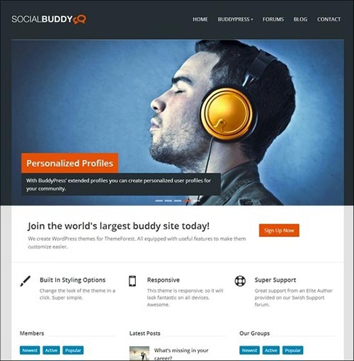 BuddyPress Themes