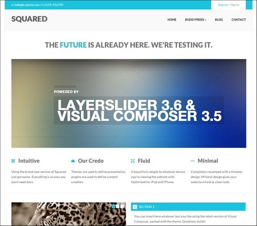 BuddyPress Themes BuddyPress Themes