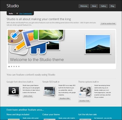 BuddyPress Themes
